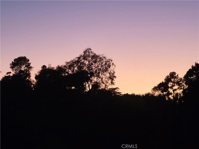 745 Crane Blvd, Los Angeles, CA 90065 - view of nature at dusk