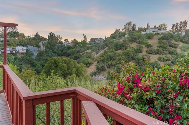 745 Crane Blvd, Los Angeles, CA 90065 - view of yard at dusk