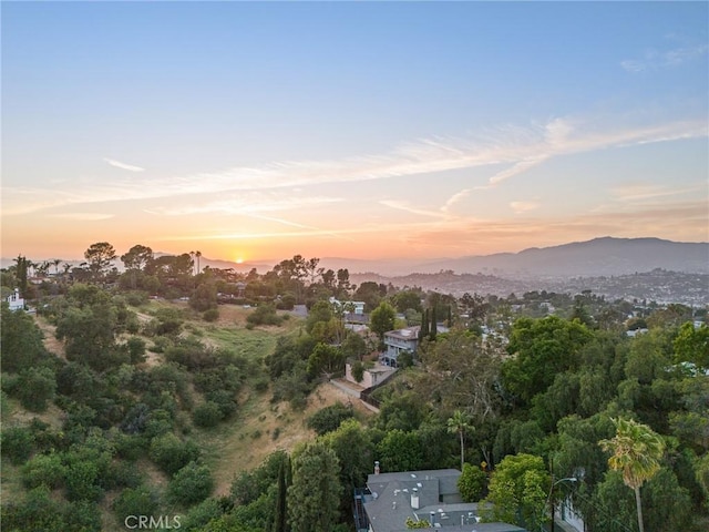 745 Crane Blvd, Los Angeles, CA 90065 - aerial view at dusk of a mountain view