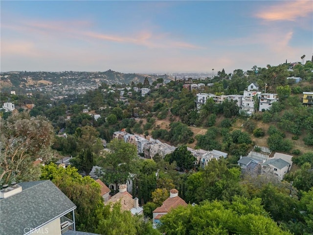 745 Crane Blvd, Los Angeles, CA 90065 - aerial view at dusk of view of wooded area