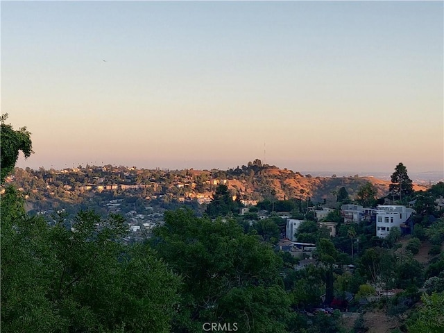 745 Crane Blvd, Los Angeles, CA 90065 - view of city