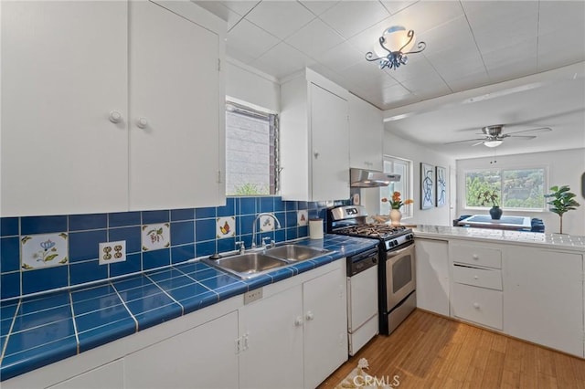 745 Crane Blvd, Los Angeles, CA 90065 - kitchen with under cabinet range hood, a sink, gas stove, tile counters, and white dishwasher
