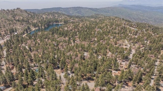 33340 Wild Cherry Dr, Green Valley Lake, CA 92341 - photo 30