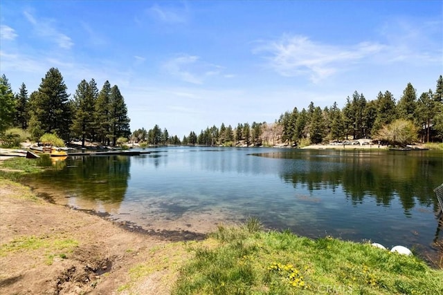 33340 Wild Cherry Dr, Green Valley Lake, CA 92341 - photo 32