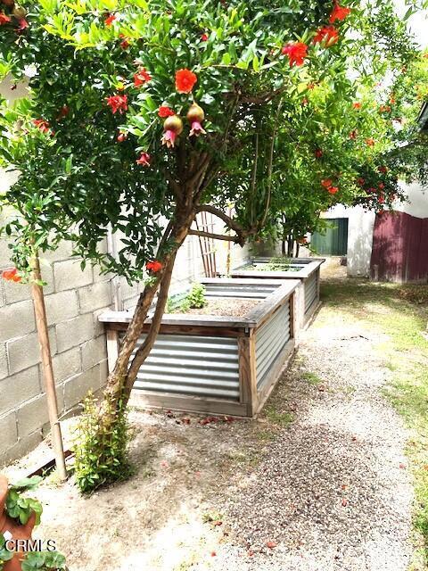 10456 Pomering Rd, Downey, CA 90241 - view of yard featuring a garden