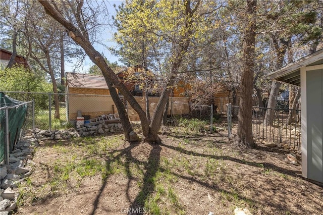 600 Moreno Ln, Sugarloaf, CA 92386 - view of yard