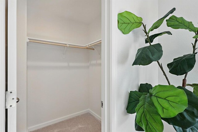 170 Montage Dr, Merced, CA 95348 - spacious closet featuring carpet floors