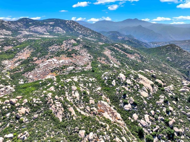 25034 Poderio Dr, Ramona, CA 92065 - mountain view