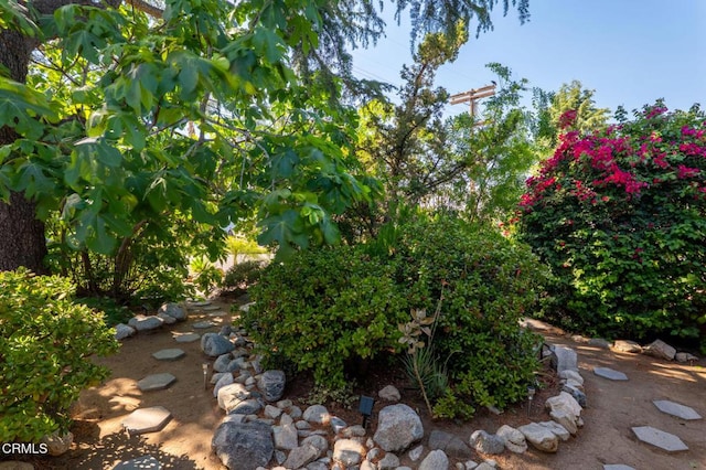 10316 Newhome Ave, Sunland, CA 91040 - photo 5