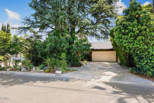 10316 Newhome Ave, Sunland, CA 91040 - photo 2