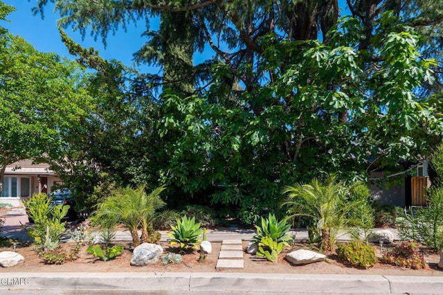 10316 Newhome Ave, Sunland, CA 91040 - photo 4