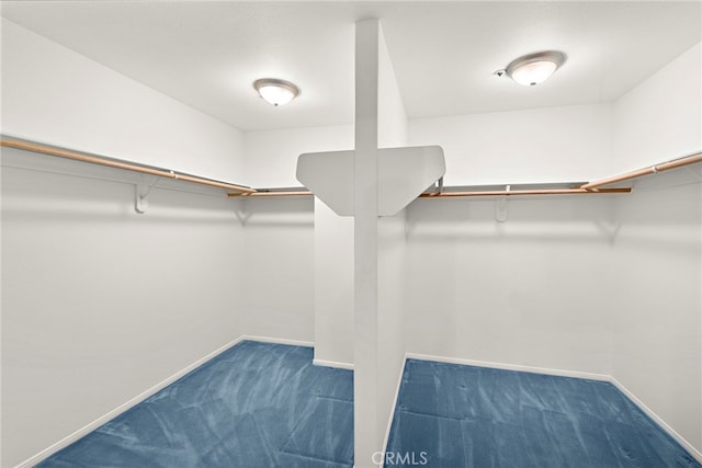 4026 Calle Lisa, San Clemente, CA 92672 - spacious closet with carpet flooring
