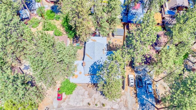 5726 Lodgepole Dr, Wrightwood, CA 92397 - photo 33