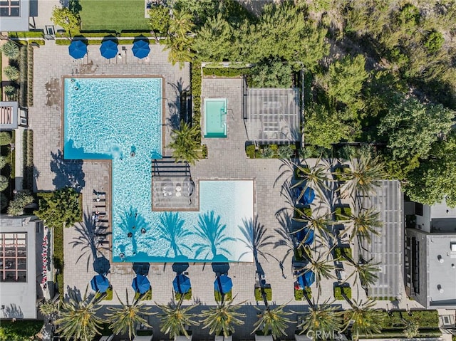 62 Pelican Ln, Irvine, CA 92618 - drone / aerial view of a pool area