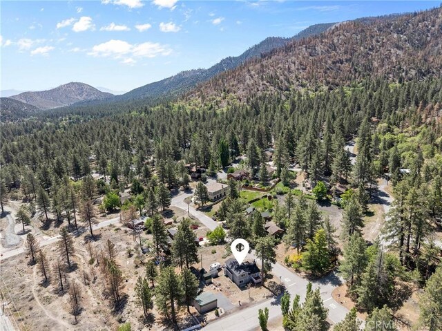 26707 Swallowhill Dr, Wrightwood, CA 92397 - photo 21