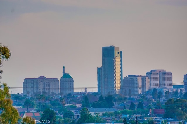 1775 Freeman Ave Unit 304, Long Beach, CA 90804 - skyline view