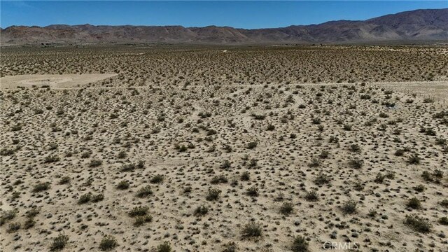 752 Firethorn Way, Johnson Valley, CA 92285 - photo 9