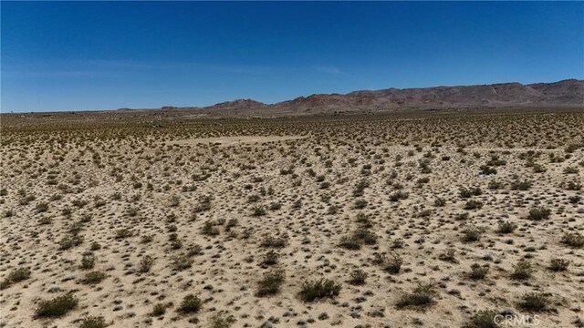 752 Firethorn Way, Johnson Valley, CA 92285 - photo 8