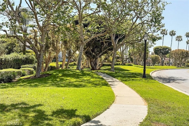 6052 Shadowbrook Cir, Huntington Beach, CA 92648 - view of property's community featuring a lawn