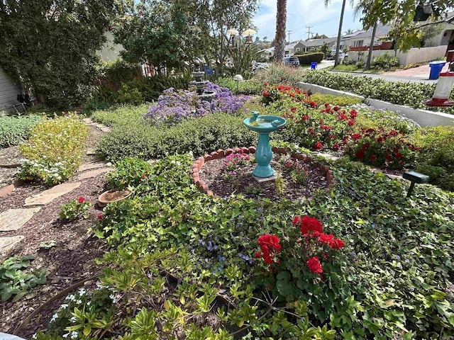 4349 Yale Ave, La Mesa, CA 91942 - view of yard