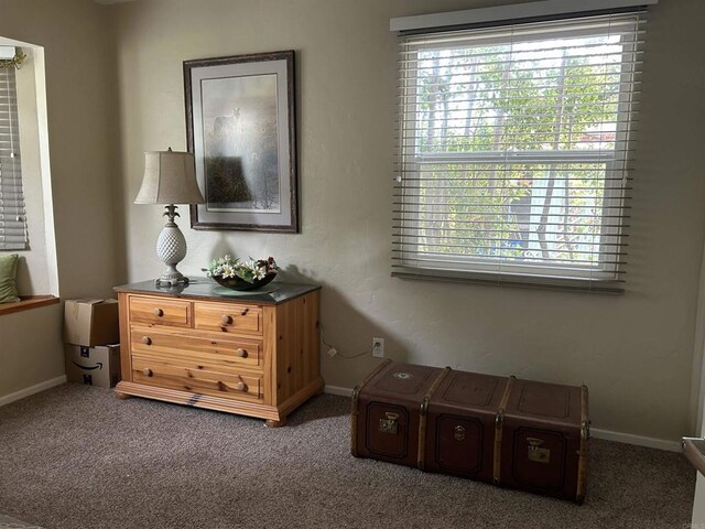 4349 Yale Ave, La Mesa, CA 91942 - photo 19