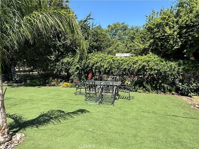 159 S Shasta St S, Willows, CA 95988 - view of green lawn