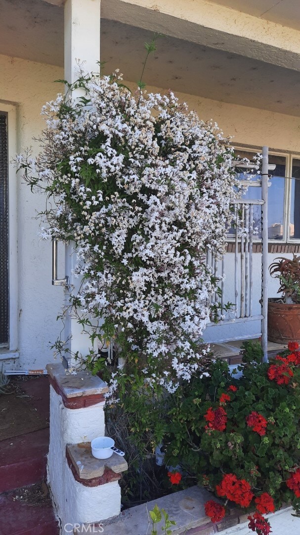 159 S Shasta St S, Willows, CA 95988 - view of side of property featuring stucco siding