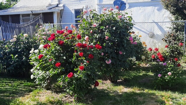 159 S Shasta St S, Willows, CA 95988 - view of yard