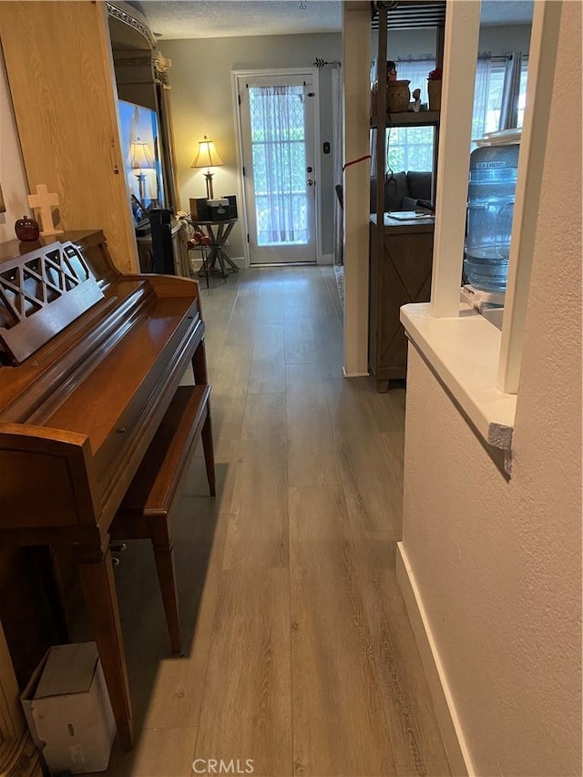 2113 N Lewis St, Santa Ana, CA 92706 - corridor featuring light wood finished floors and plenty of natural light
