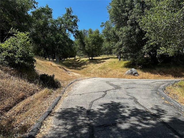 50771 Woodside Ln, Oakhurst, CA 93644 - view of asphalt road