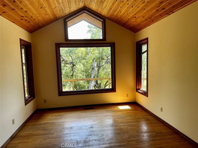 50771 Woodside Ln, Oakhurst, CA 93644 - spare room featuring plenty of natural light, wood finished floors, and lofted ceiling