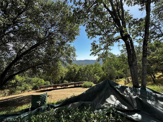 50771 Woodside Ln, Oakhurst, CA 93644 - view of mountain backdrop with a heavily wooded area