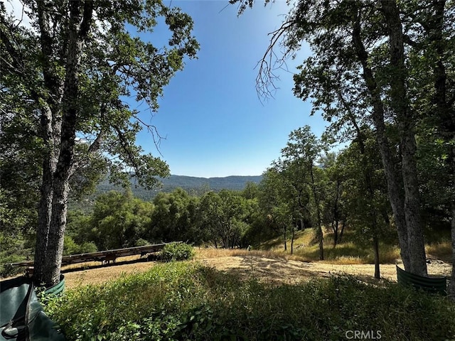 50771 Woodside Ln, Oakhurst, CA 93644 - view of mountain background with a forest