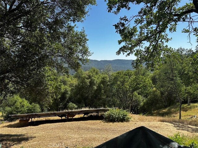 50771 Woodside Ln, Oakhurst, CA 93644 - mountain view featuring a forest