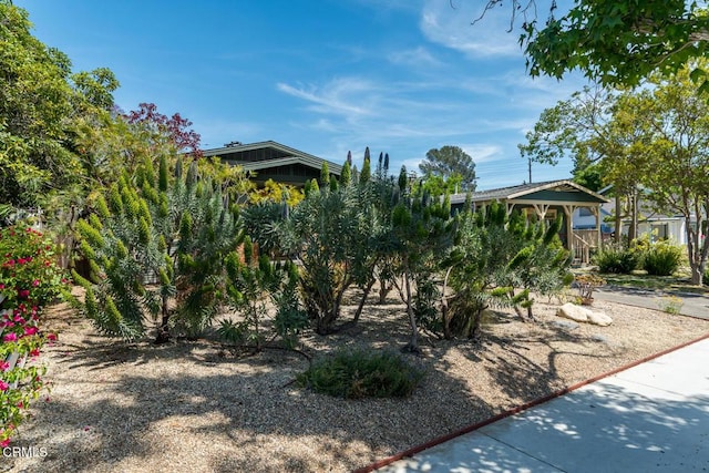 1828 Woodrow Ave, Los Angeles, CA 90041 - view of yard