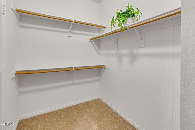 953 Coronado Cir, Santa Paula, CA 93060 - walk in closet with light carpet
