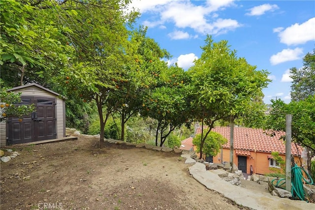 11022 Fruitland Dr, Studio City, CA 91604 - view of yard