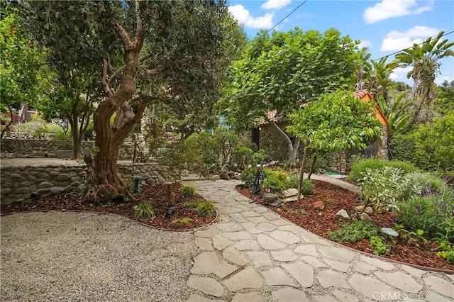 11022 Fruitland Dr, Studio City, CA 91604 - view of yard