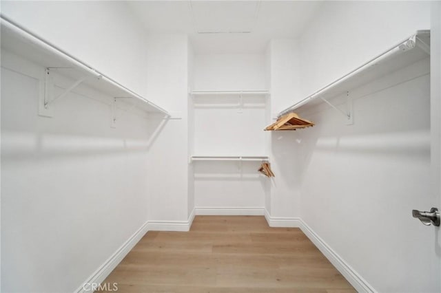 25422 Magnolia Ln, Stevenson Ranch, CA 91381 - walk in closet with light wood finished floors