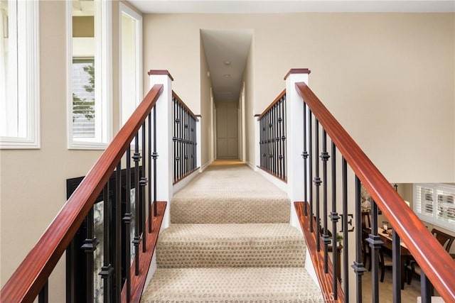 293 N Paseo De Juan, Anaheim Hills, CA 92807 - stairway featuring carpet flooring