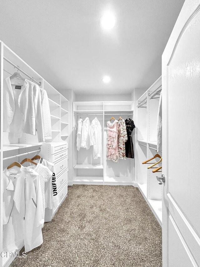 320 Starlane Dr, La Canada Flintridge, CA 91011 - walk in closet featuring carpet flooring