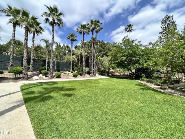 320 Starlane Dr, La Canada Flintridge, CA 91011 - view of yard