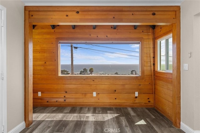 833 Park Ave, Cayucos, CA 93430 - spare room featuring dark wood-style flooring, wood walls, and baseboards