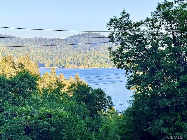 27888 W Shore Rd, Lake Arrowhead, CA 92352 - water view featuring a heavily wooded area