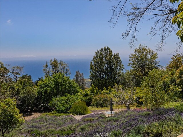 7 Cinchring Rd, Rolling Hills, CA 90274 - view of local wilderness
