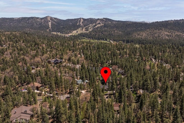 1138 Johnny Way, Big Bear Lake, CA 92315 - photo 54