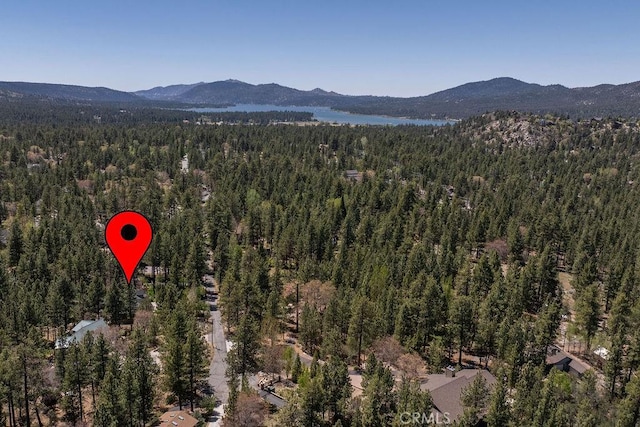 1138 Johnny Way, Big Bear Lake, CA 92315 - photo 53