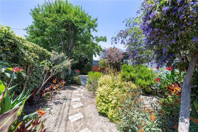 436 W Porter Ave, Fullerton, CA 92832 - view of yard