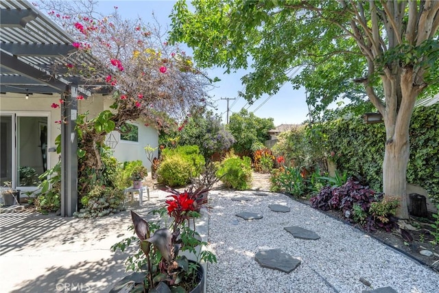 436 W Porter Ave, Fullerton, CA 92832 - view of yard featuring a patio and a pergola