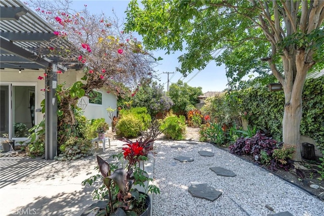 436 W Porter Ave, Fullerton, CA 92832 - view of yard with a patio area and a pergola